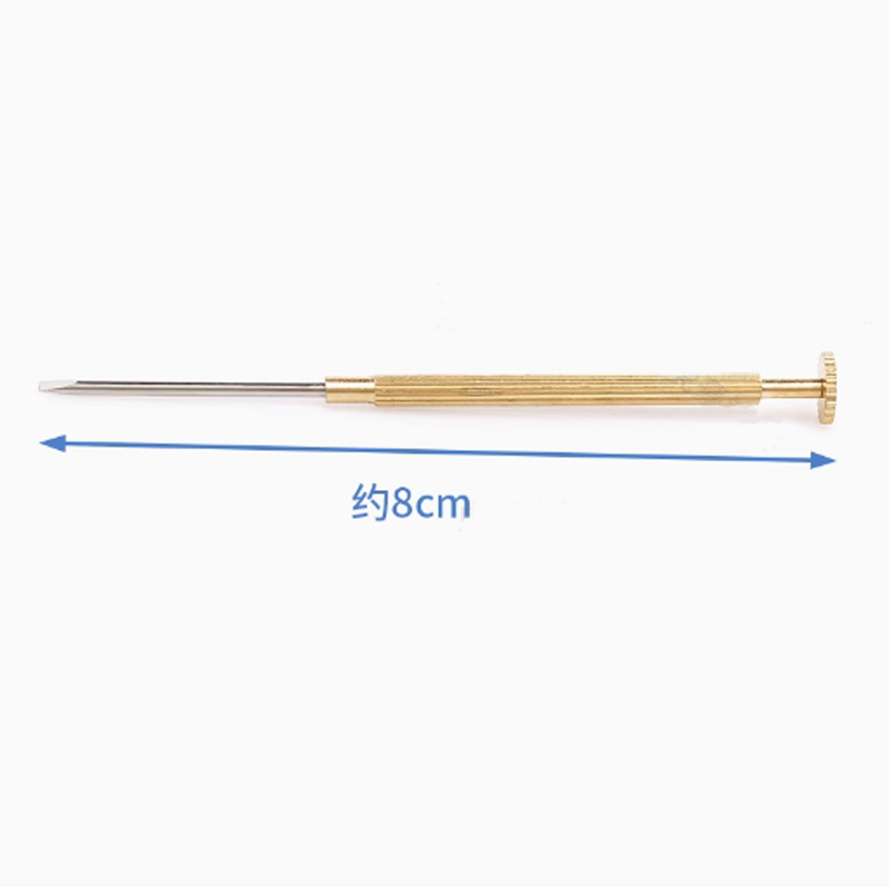 Klein formaat metalen gleufsch - Watchmaker Screwdriver recensie en prijs