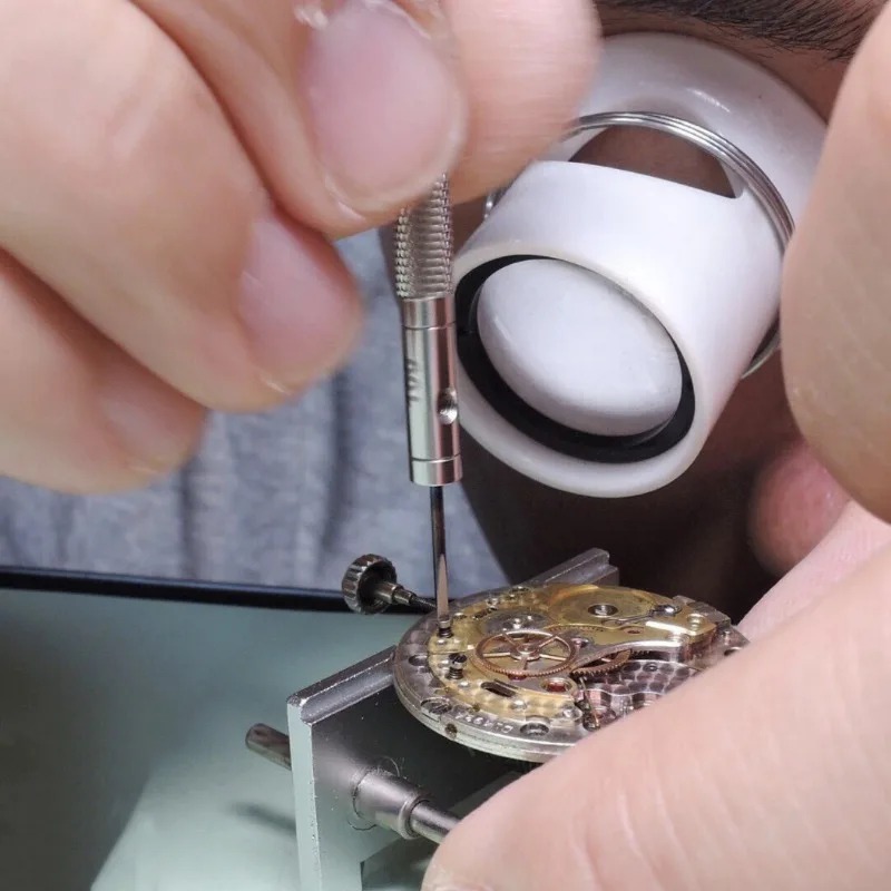 Horloge-schroevendraaierset, 5 - Watchmaker Screwdriver recensie en prijs